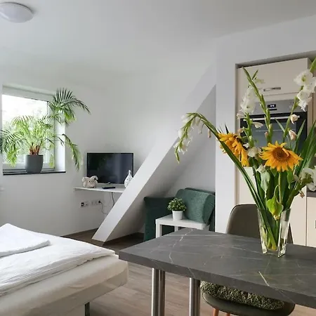 Apartman Wunderschoene Mit Balkon In Aue